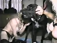 Trained Dalmatian impaled sexy wife from behind